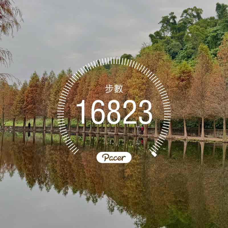 政夫 post 2