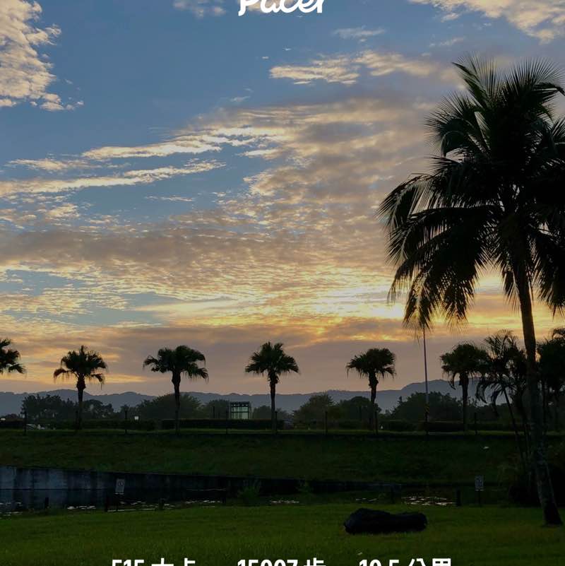 政夫 post 2