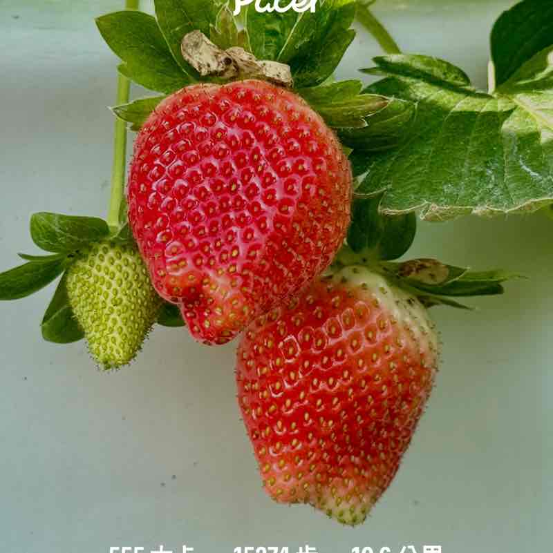 政夫 post 3