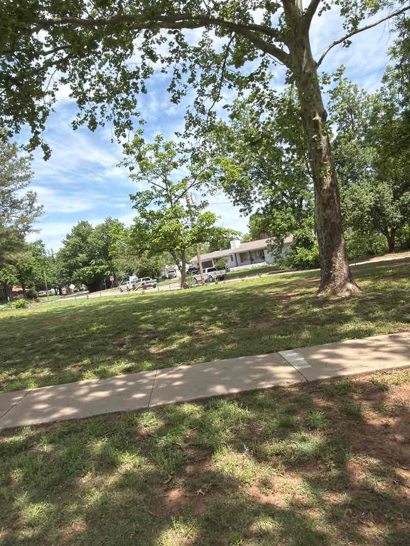 walking near me in Ingham Park in spring