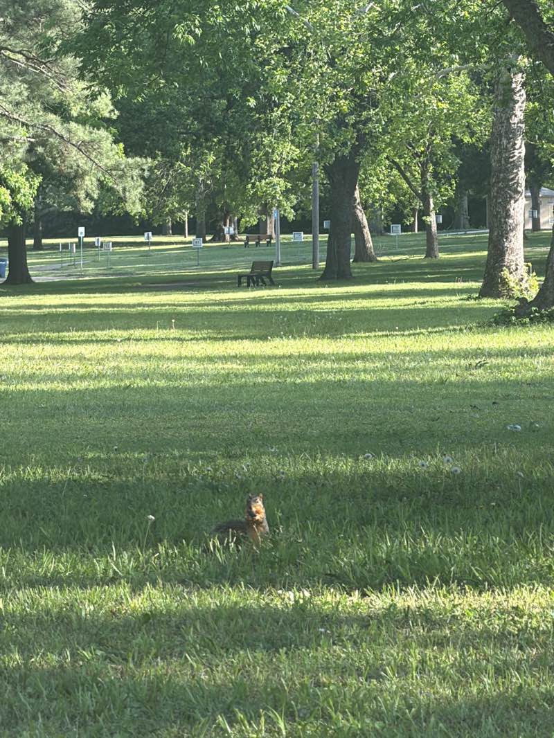 walking near me in Couch Park in spring