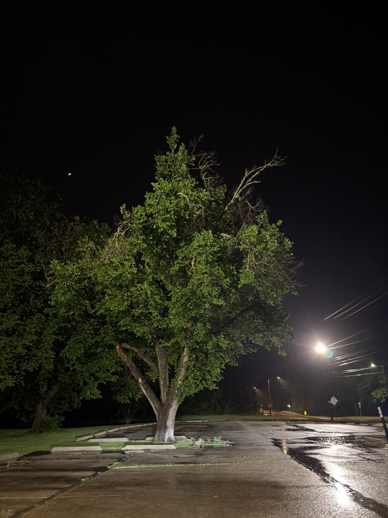 walking near me in Hoyt Grove Park in spring