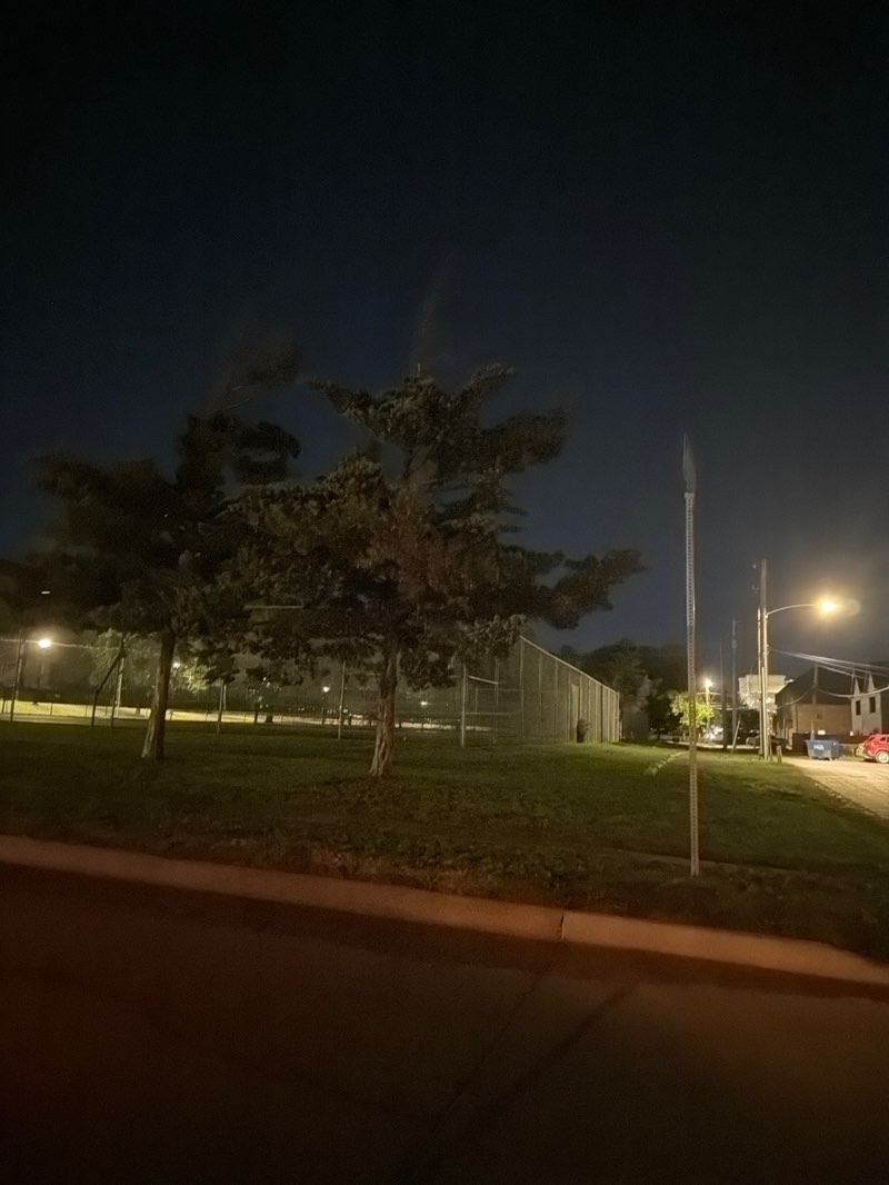 walking near me in Sunset Park in spring