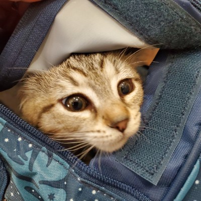 Slowly But Surely post 2