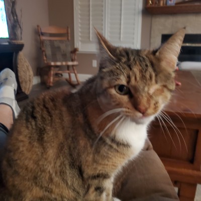 Slowly But Surely post 3