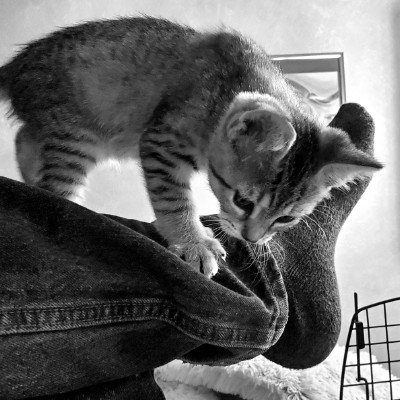 Slowly But Surely post 1