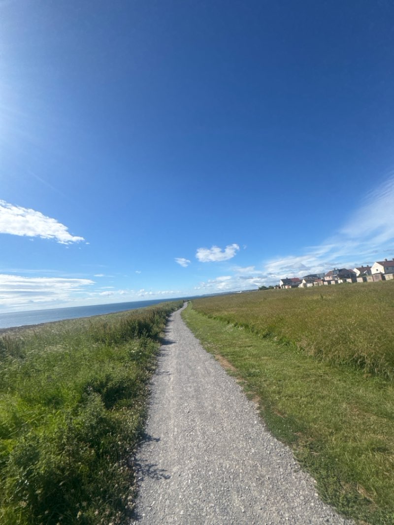walking near me in Roker Cliff Park in summer