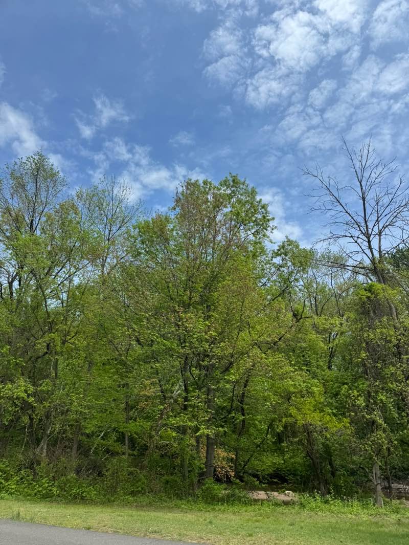 walking near me in Saddle River County Park - Otto Pehle Area in spring