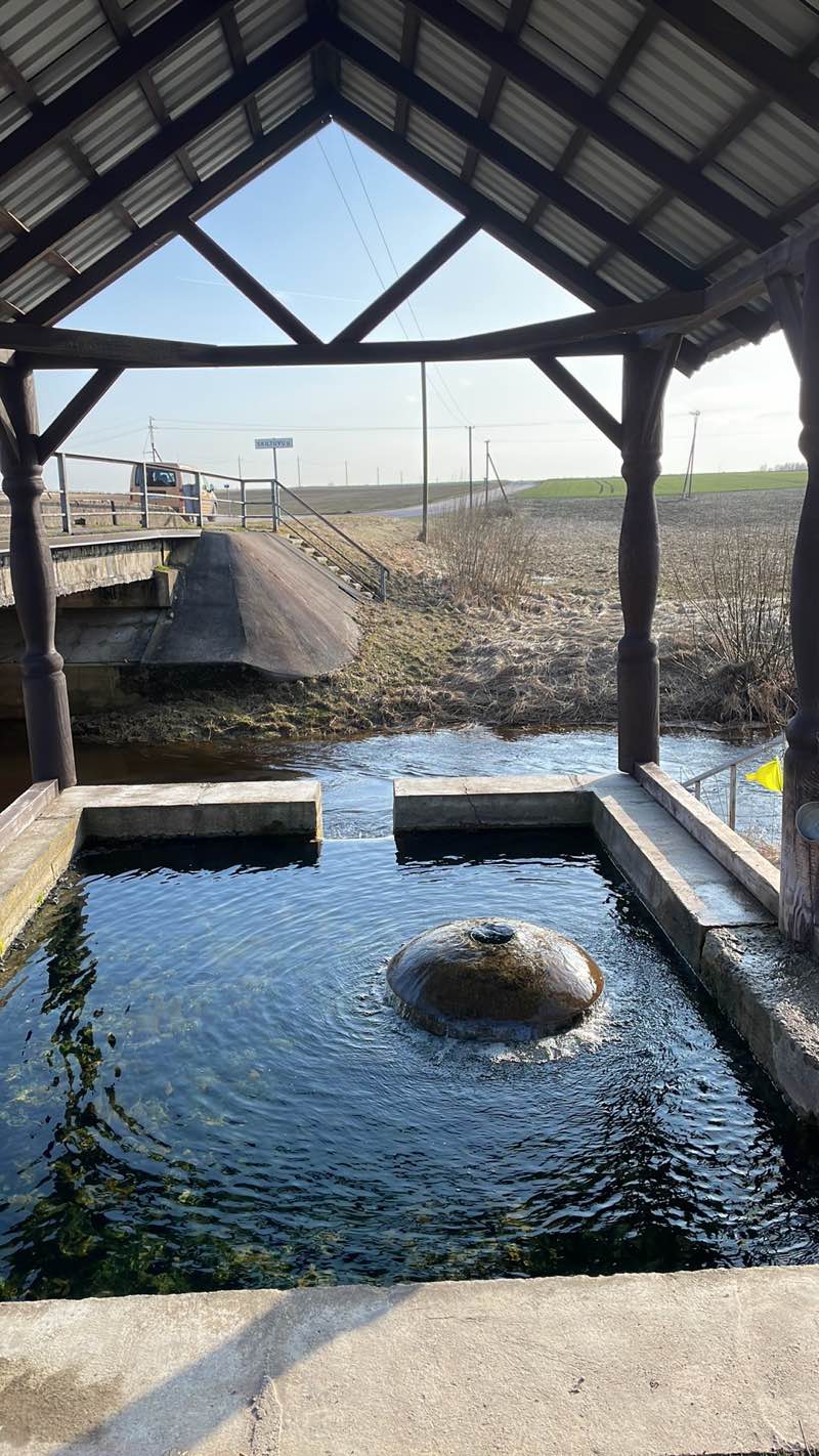 walking near me in Pandėlio dvaro sodybos fragmentų parkas in winter