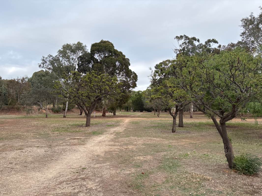 walking near me in Carriageway Park in autumn