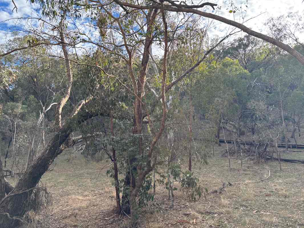 walking near me in Warren Conservation Park in winter