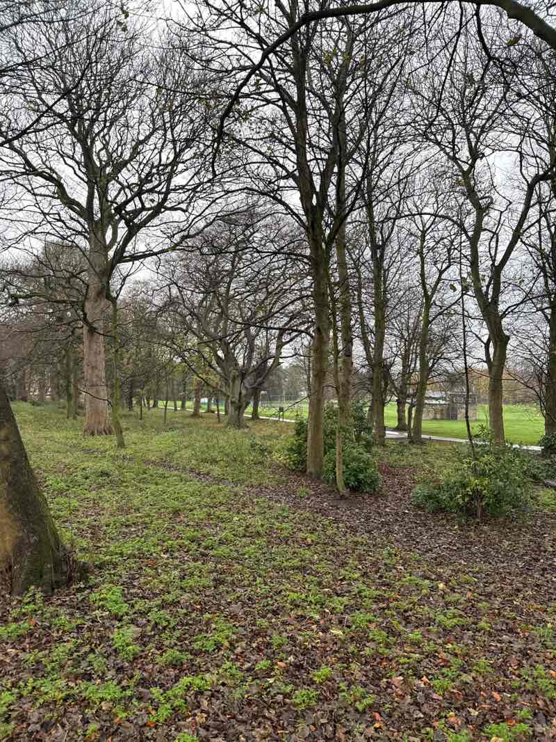 walking near me in Horsforth Hall Park in autumn