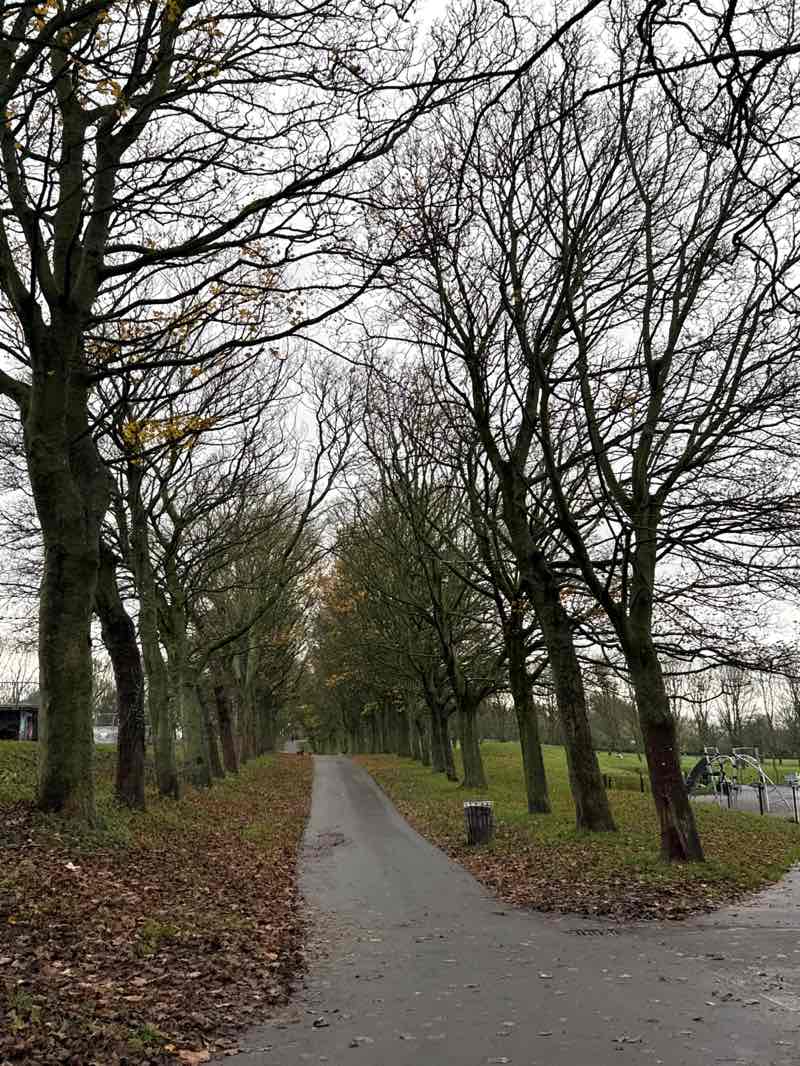 walking near me in Woodhouse Moor Park in winter