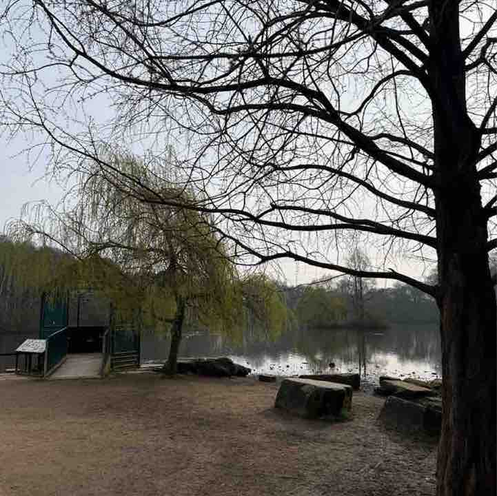 StewartMcGill post 1