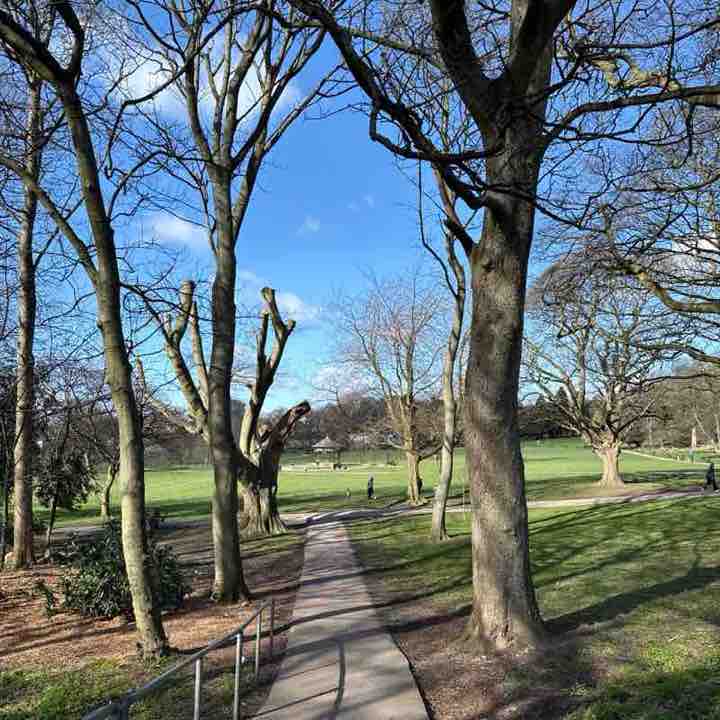 StewartMcGill post 1