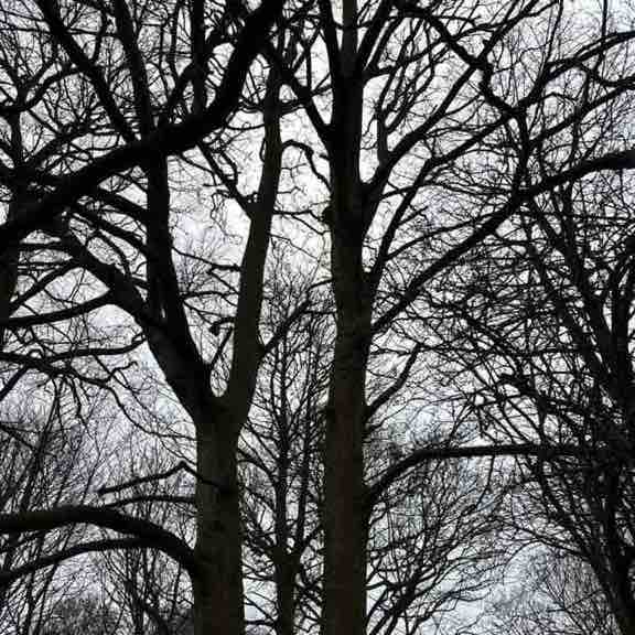 StewartMcGill post 1