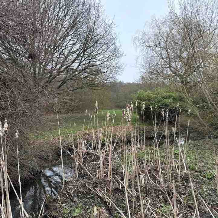 StewartMcGill post 1