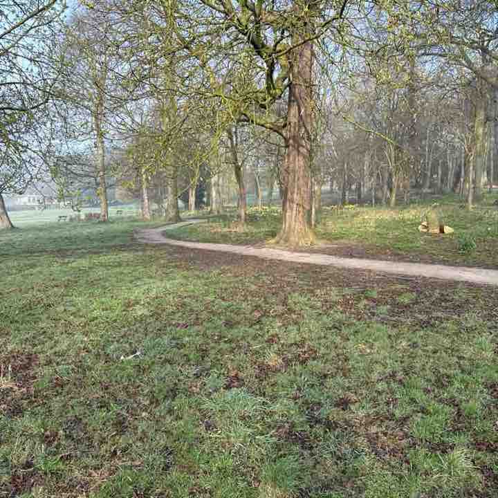 StewartMcGill post 1