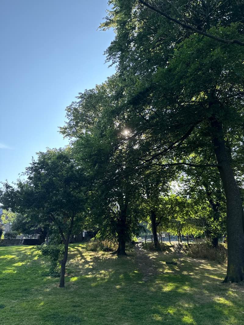 walking near me in Horsforth Hall Park in summer