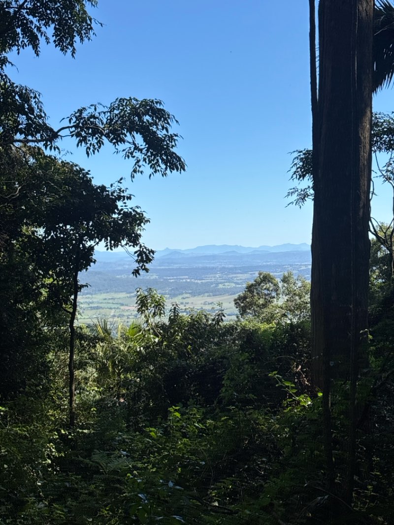 walking near me in Tamborine National Park in autumn