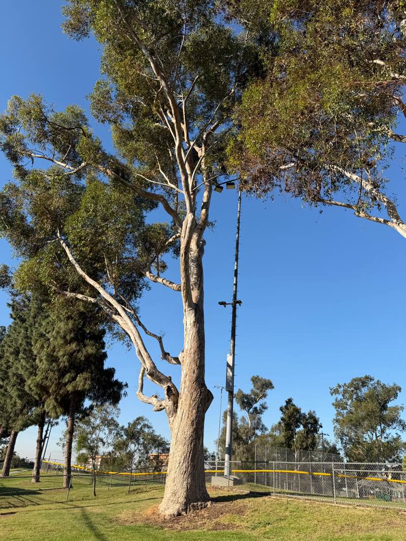 walking near me in City Terrace Park in spring