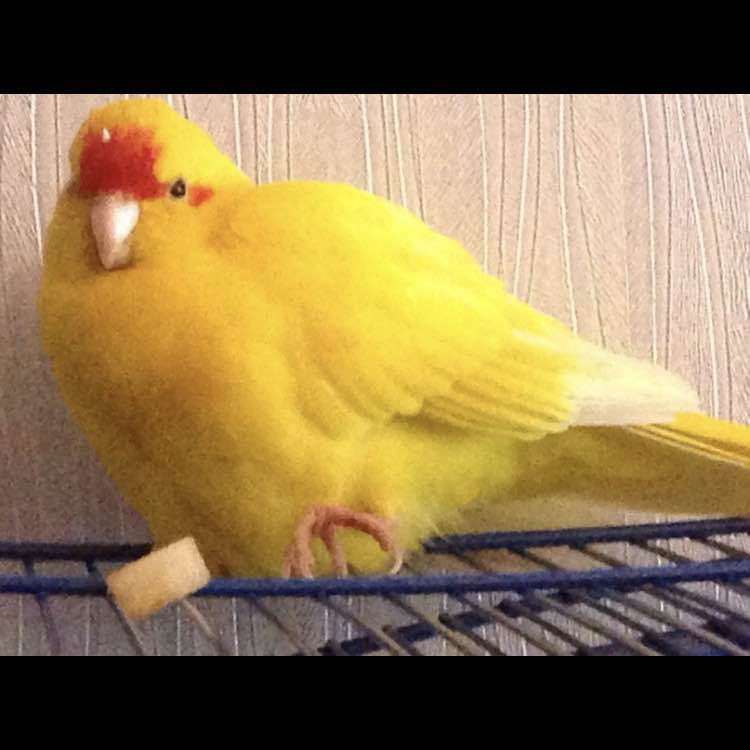 ❤️‍🔥Виктор Ш.✨ post 1