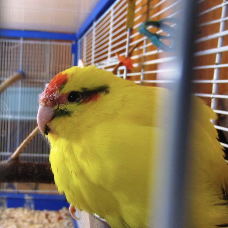 ❤️‍🔥Виктор Ш.✨ post 2