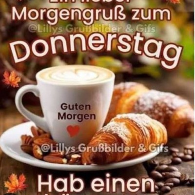 Mit Hund(en) unterwegsโฃ Lucia47 ๐น๐ฎ๐น๐ถ๐จ๐ฆ post image