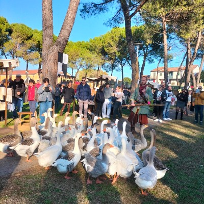 ๐งฉMomenti Speciali X๐โโ๏ธ๐คฃ Lucia47 ๐น๐ฎ๐น๐ถ๐จ๐ฆ post image