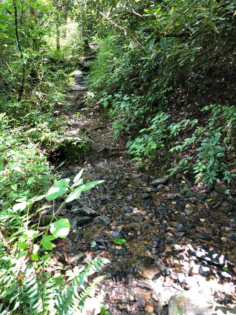 walking near me in Ellicott Rock Wilderness in winter