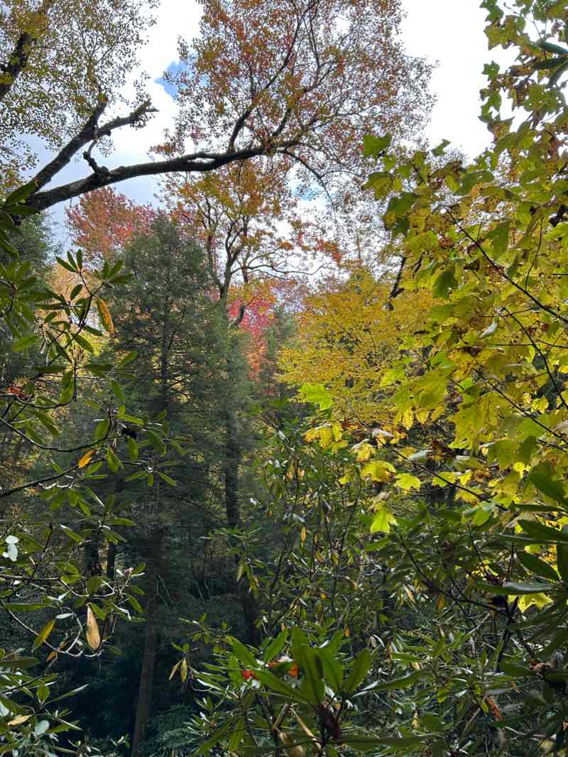 walking near me in Highlands Recreation Park in winter