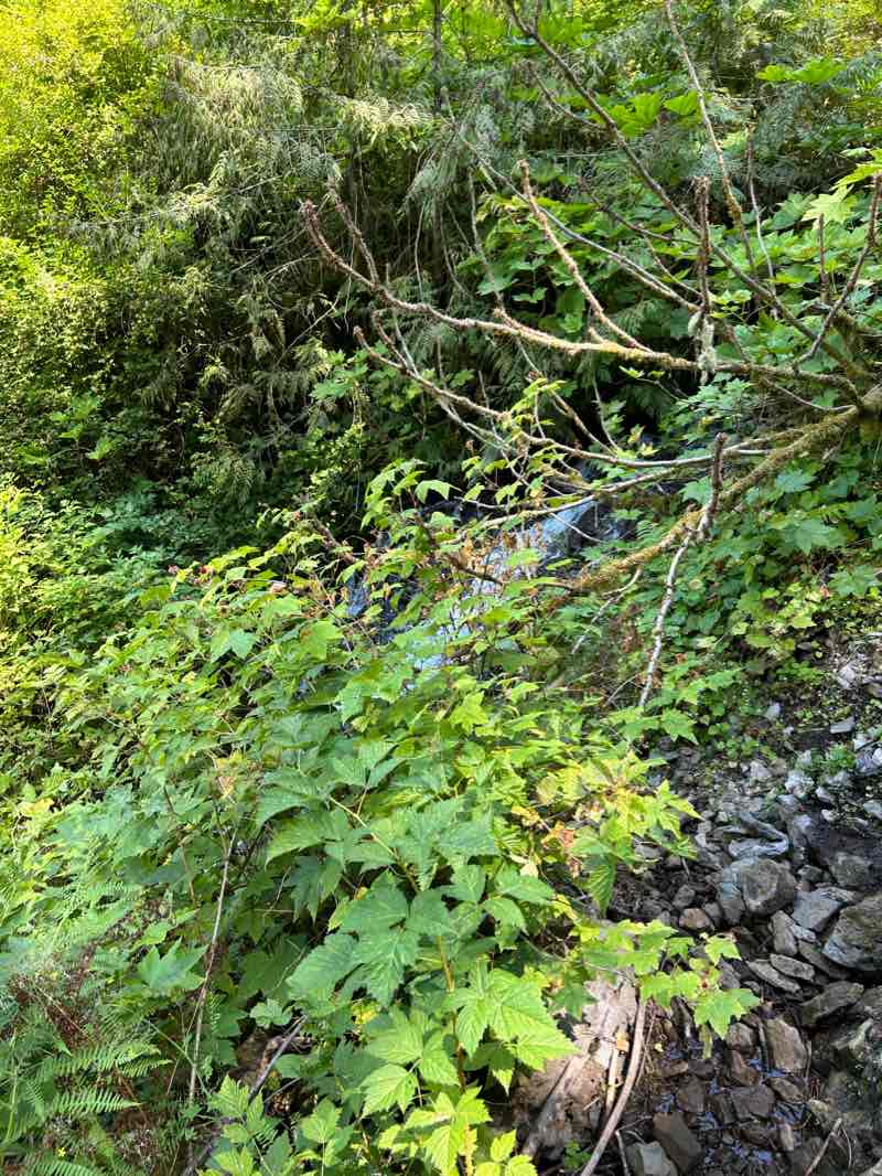 walking near me in Columbia River Gorge National Scenic Area in winter