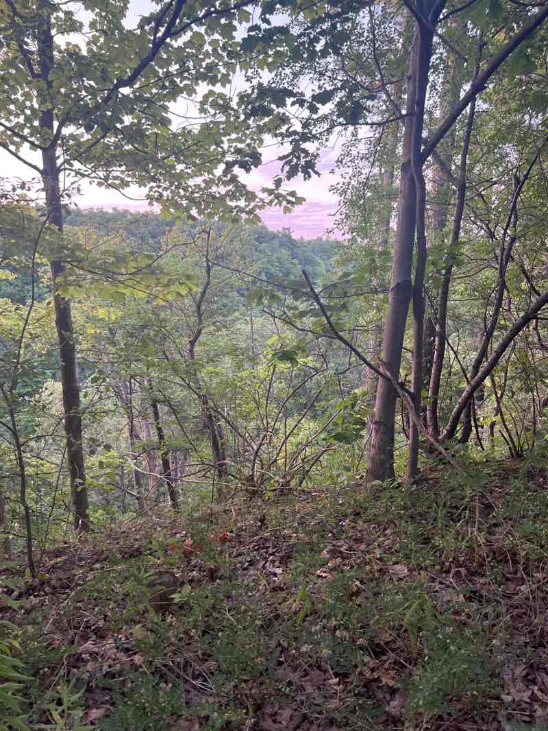 walking near me in Bronte Creek Provincial Park in autumn