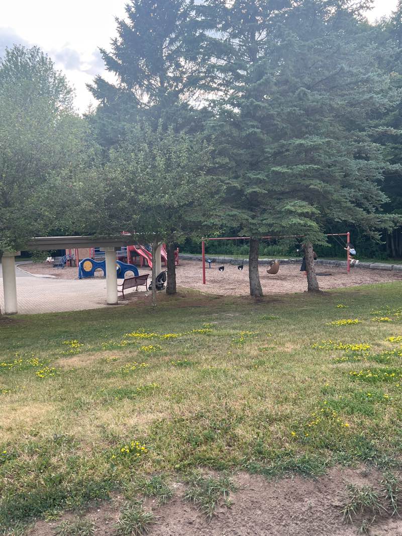 walking near me in Whitburn Park in summer