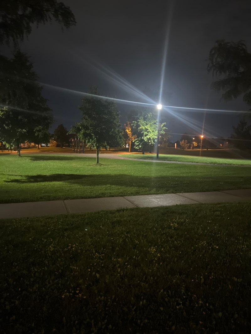 walking near me in Bennet Park in autumn