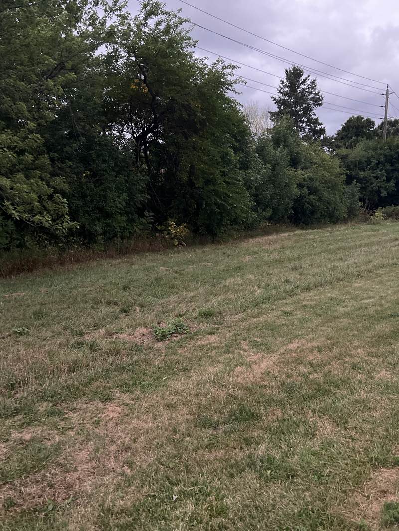 walking near me in Centennial Trail in autumn