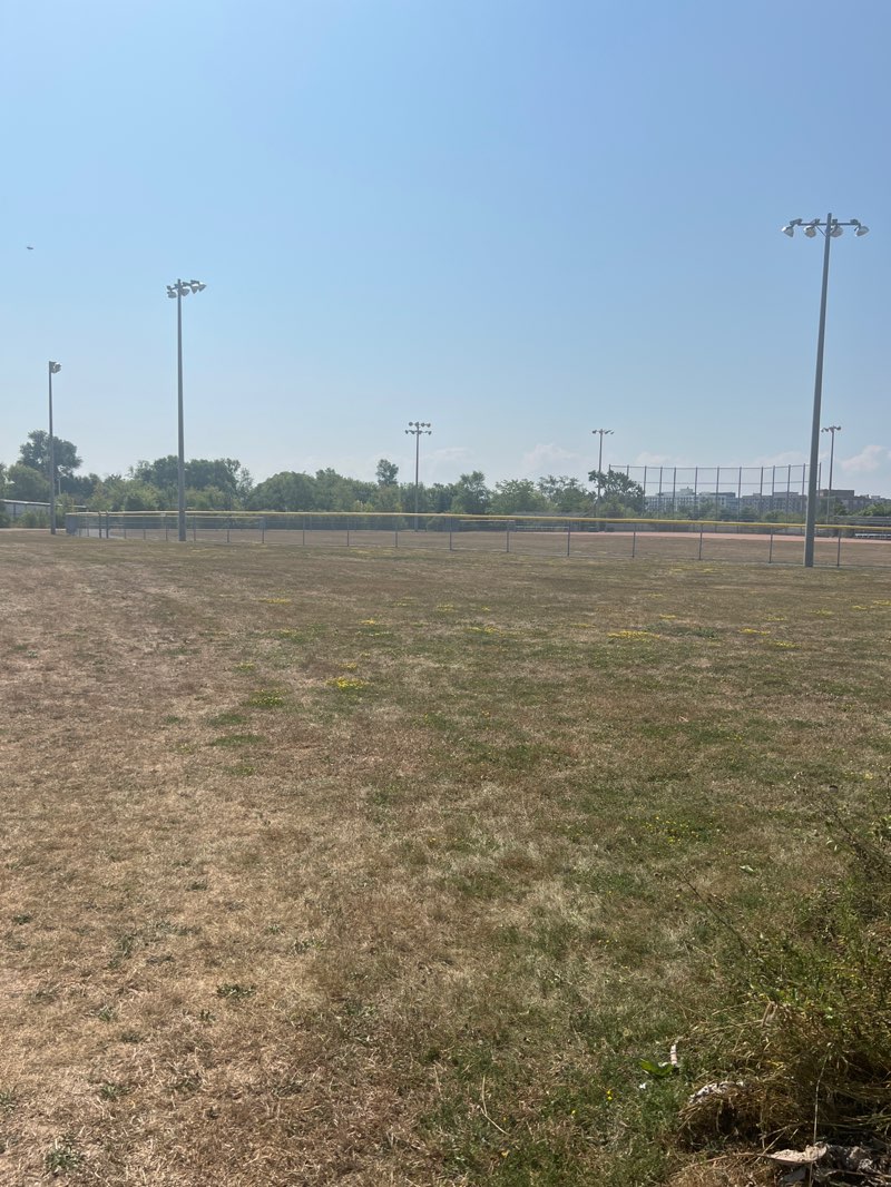 walking near me in Palermo Park in autumn