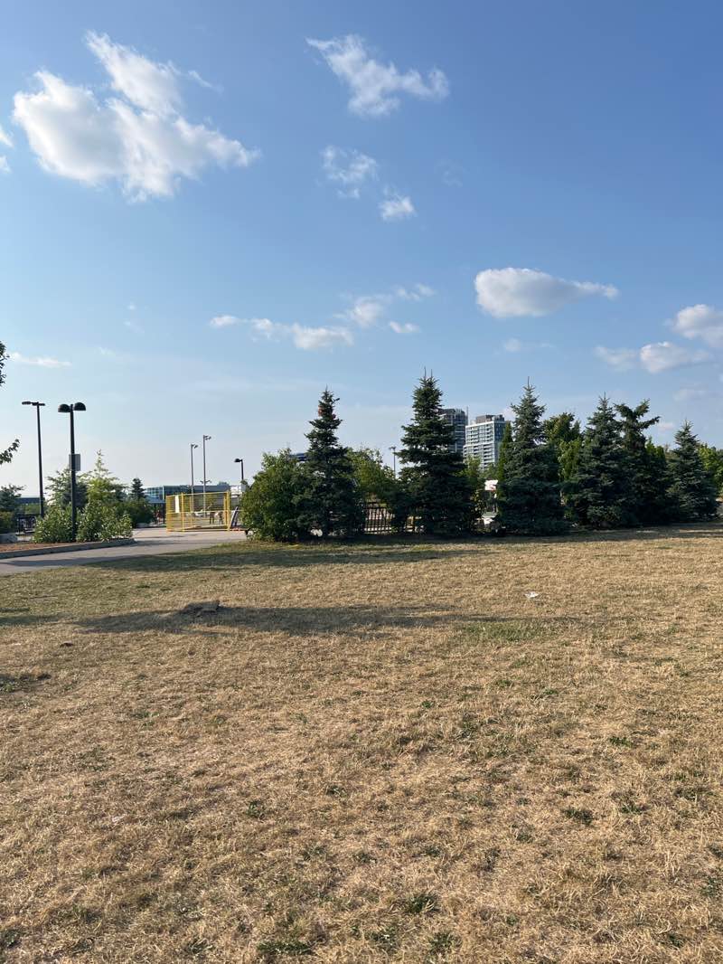 walking near me in Milton Community Sports Park in autumn