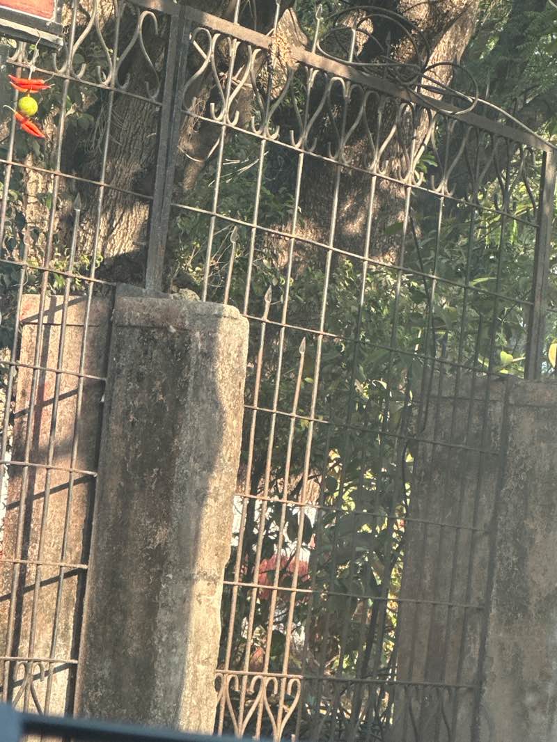 walking near me in Shankar Nagar Park in spring