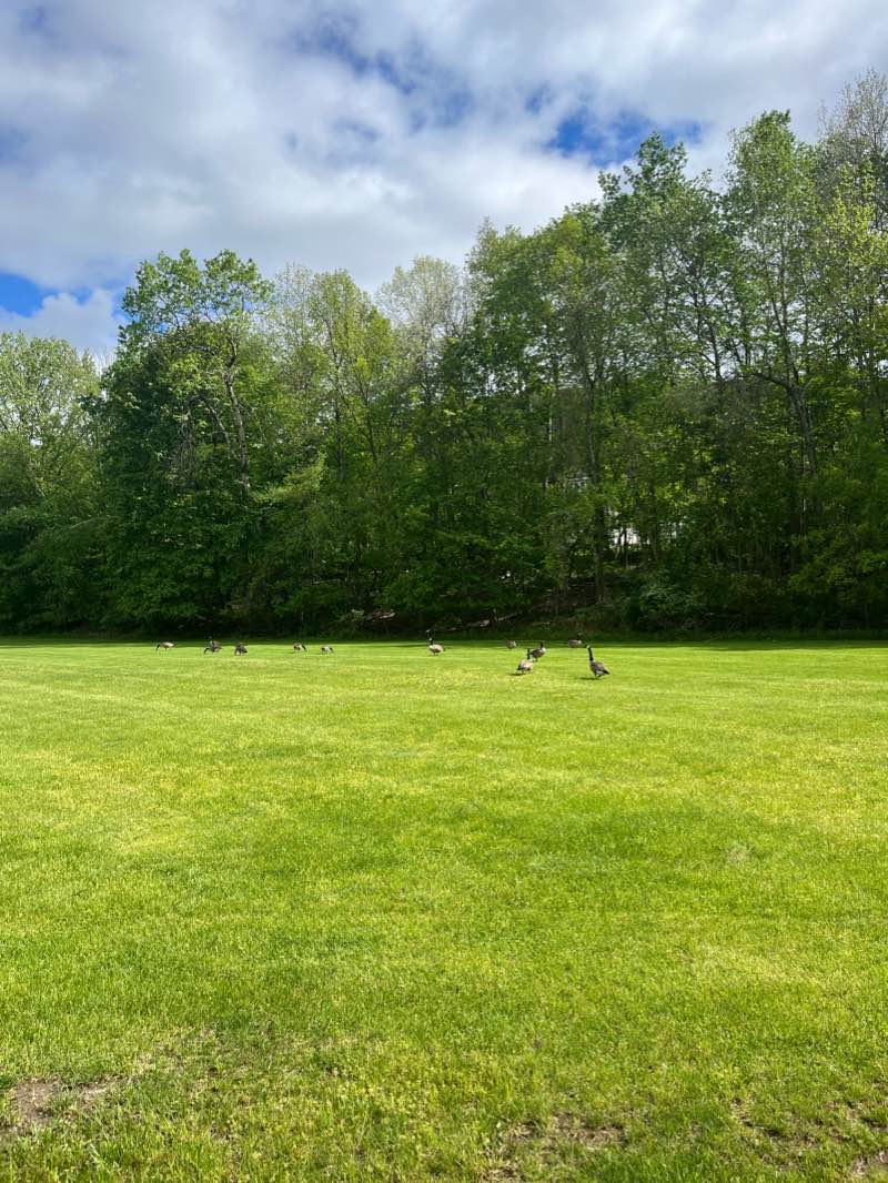 walking near me in South Side Veteran's Park in winter