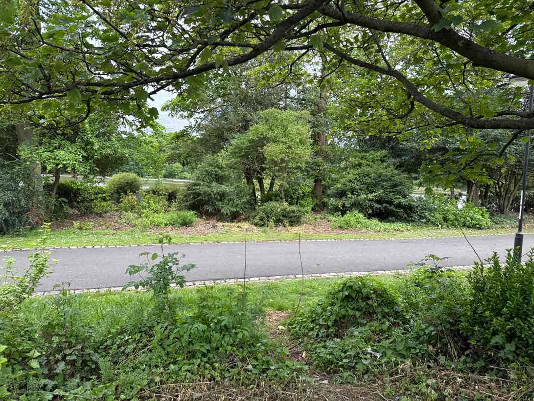 walking near me in Leazes Park in spring