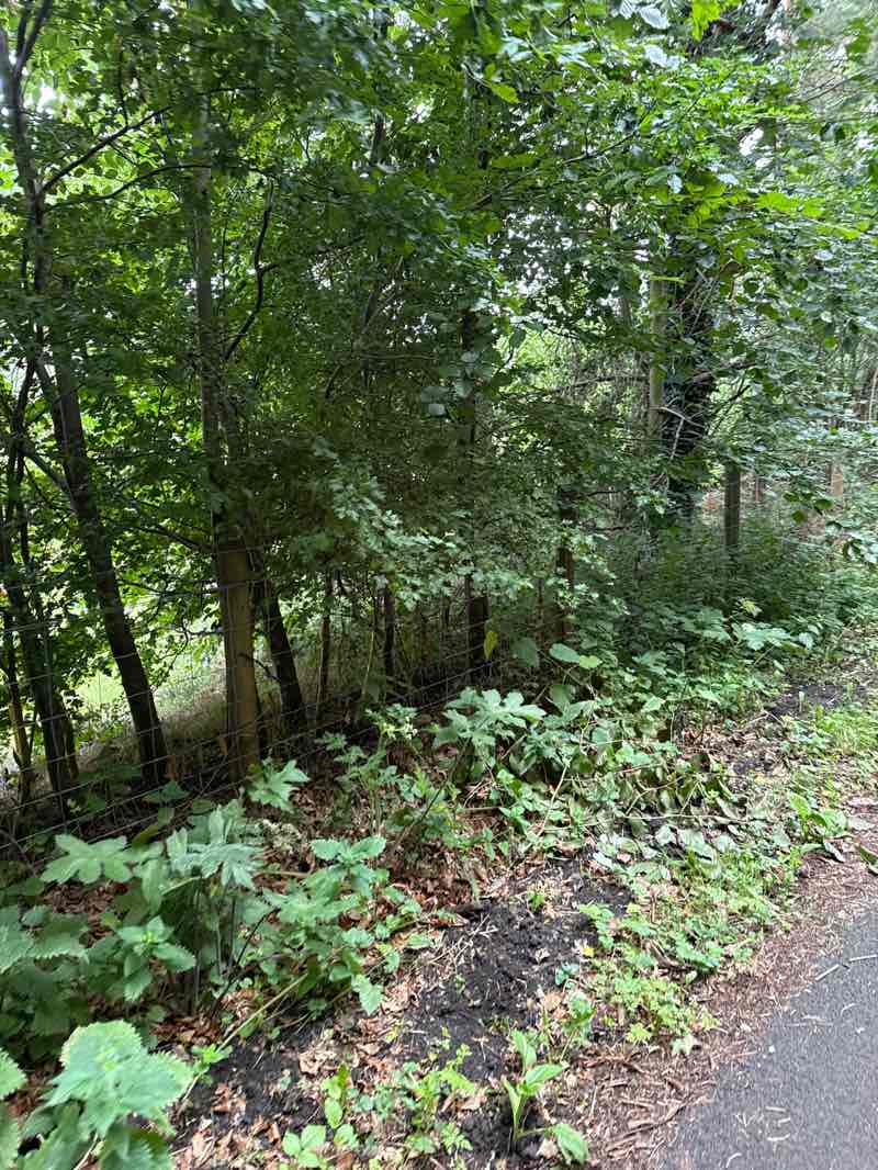 walking near me in Close House Riverside Nature Reserve in autumn