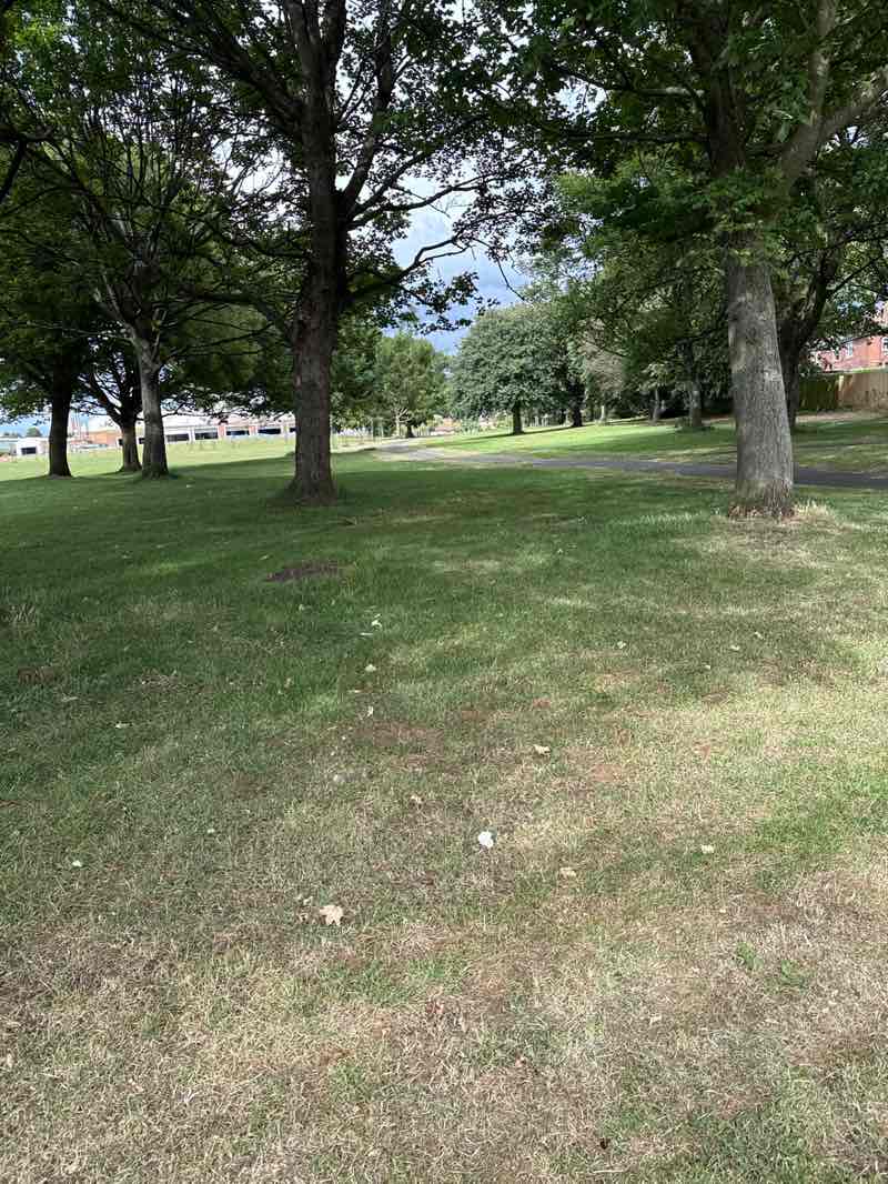 walking near me in Denton Dene North in autumn