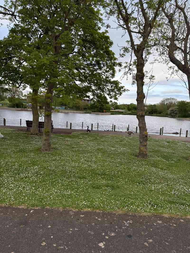 walking near me in Barrow Park in spring