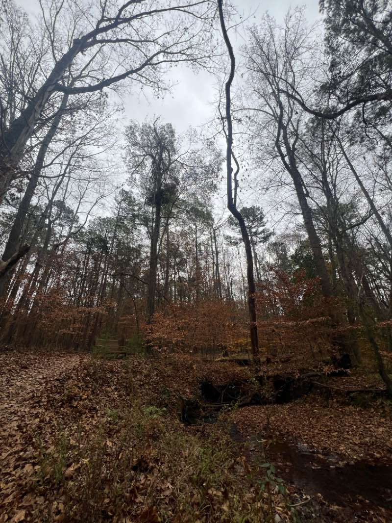 walking near me in Michael J. & Mary Meech Mungo Park in autumn