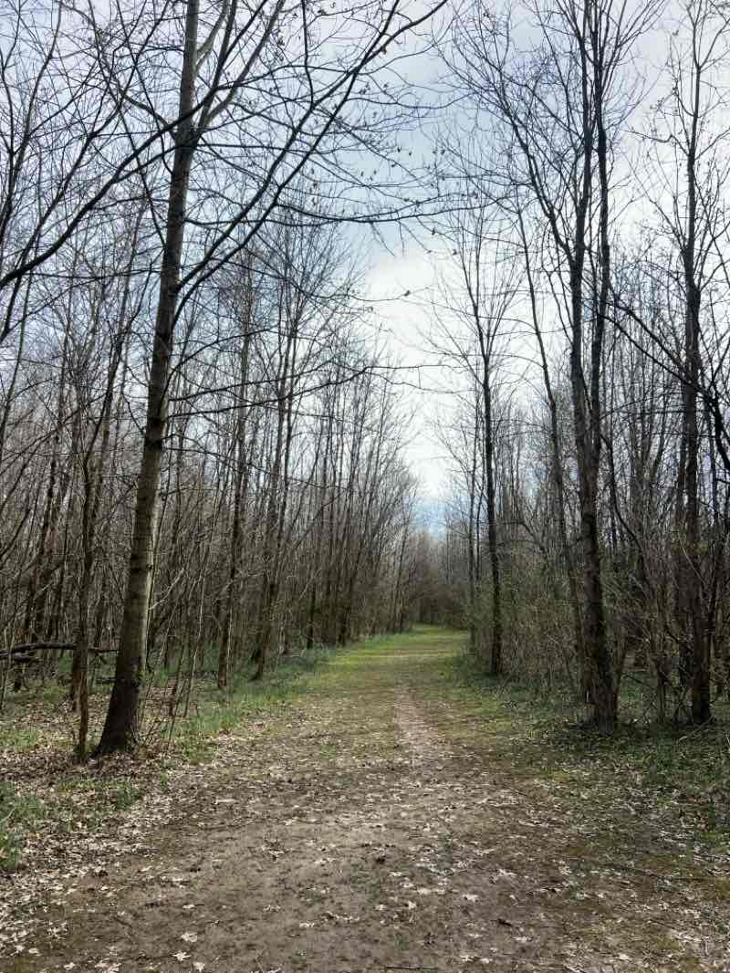 walking near me in Hays Kennedy Park in spring