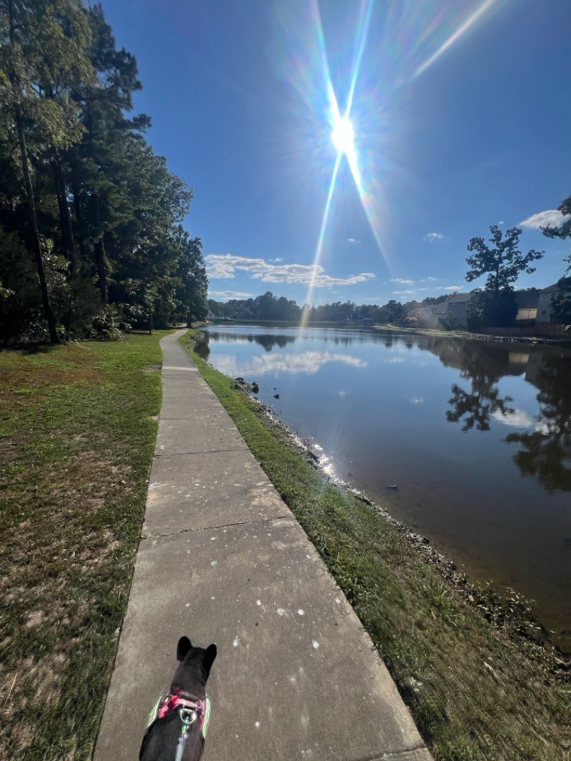 walking near me in Melvin Park in autumn