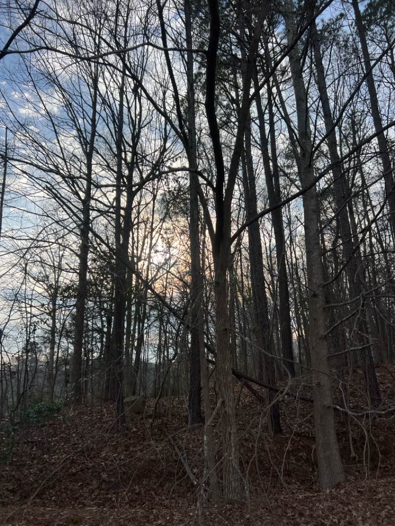 walking near me in Michael J. & Mary Meech Mungo Park in winter