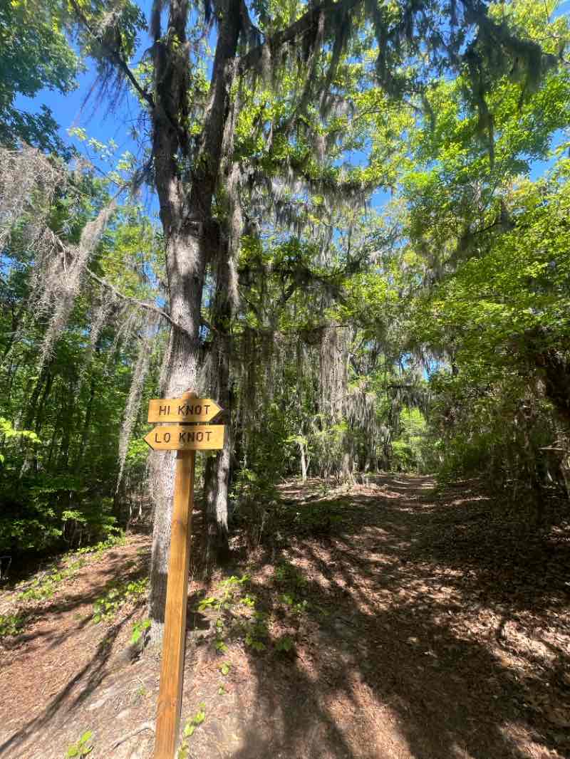 walking near me in Poinsett State Park in spring