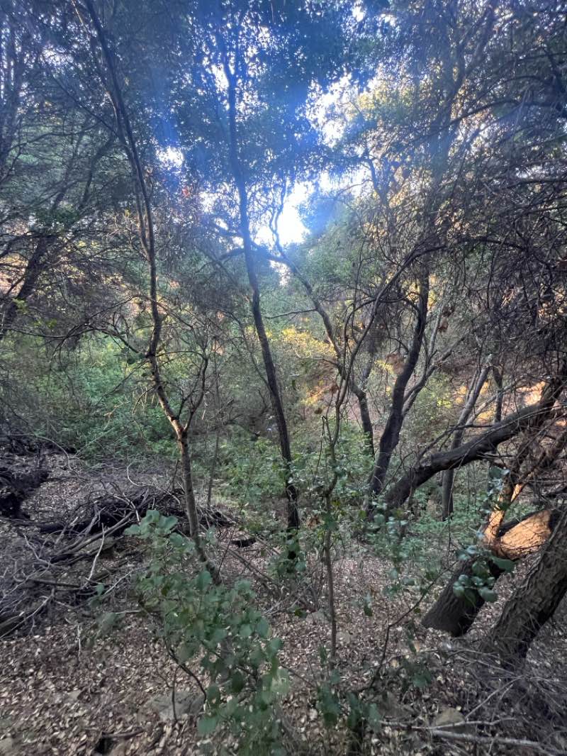 walking near me in Lake Cachuma Recreation Area in summer